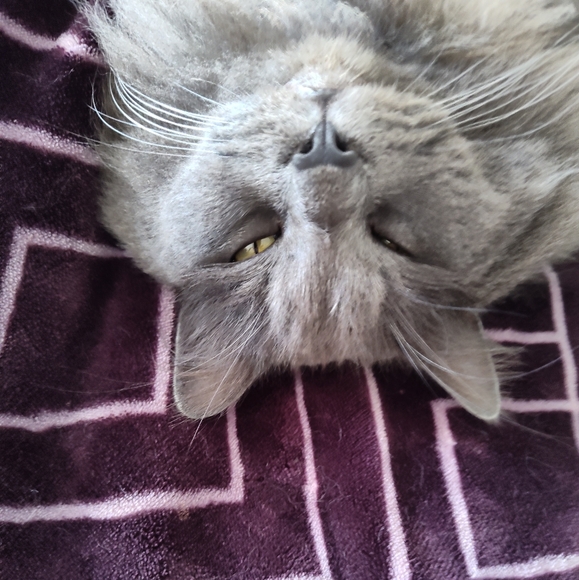 🥳 - Picture 2 of 3